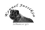 Kennel Jussikia - Uppfödning av schnauzer ps 