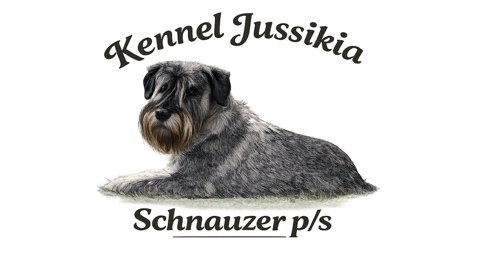 Kennel Jussikia-Uppfödning av Schnauzer ps